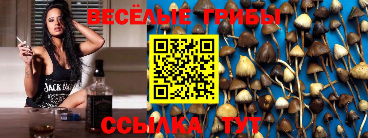 закладка  Галлюциногенные грибы Psilocybe  Юрга  Вход с VPN  Галлюциногенные грибы Magic Shrooms 