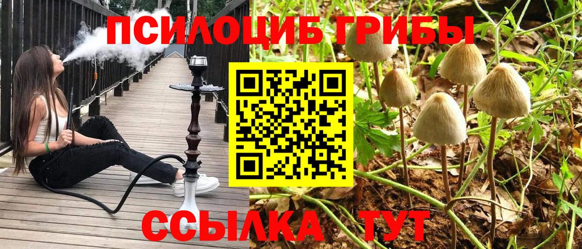 Галлюциногенные грибы GOLDEN TEACHER Юрга